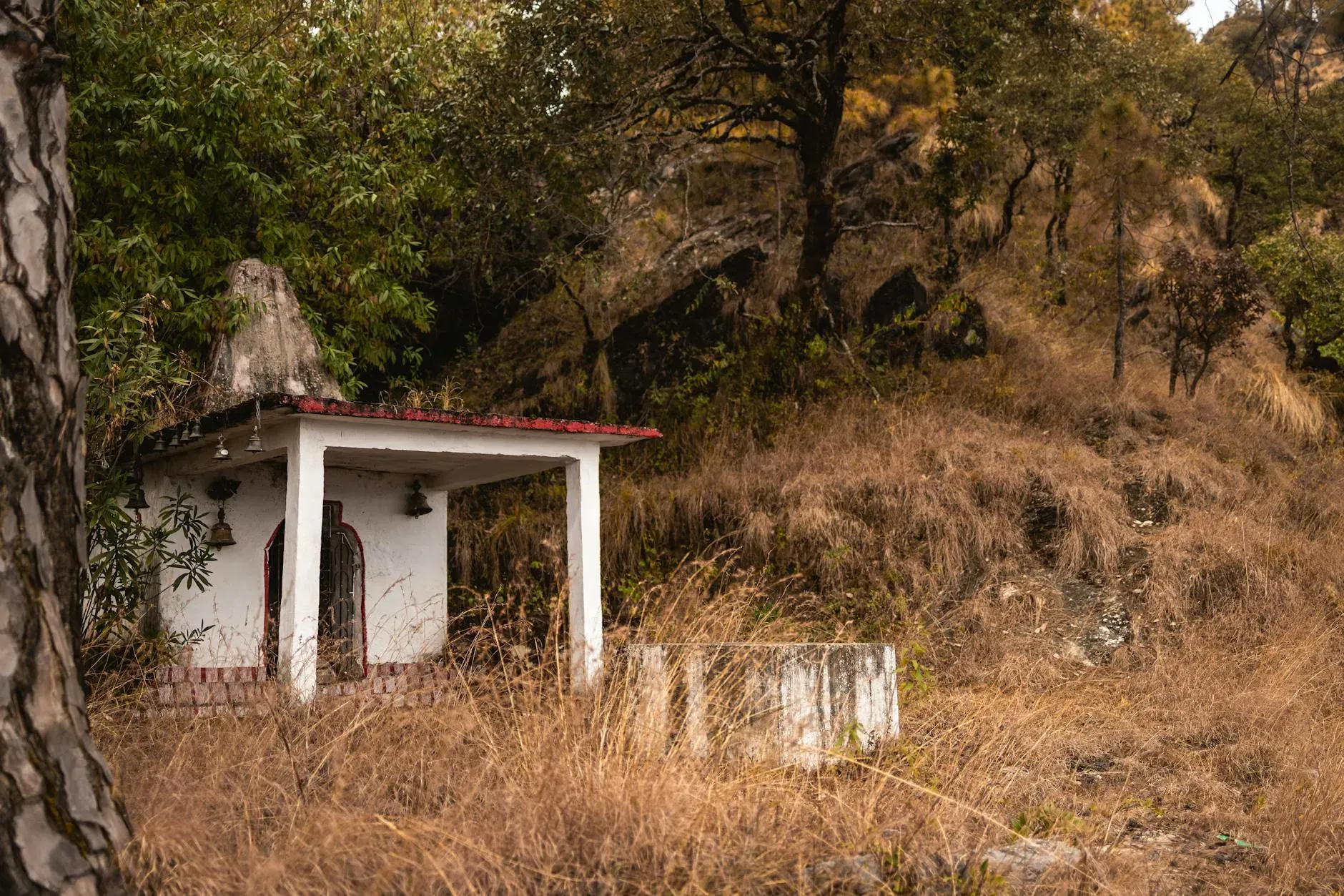 Awdhesh Semwal — Located in Rishikesh, Uttarakhand, a region celebrated for its spiritual significance and as a global hub for yoga.