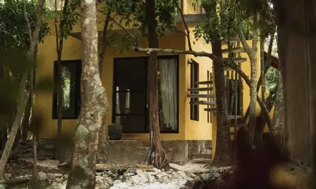 Ayafes — set within the lush jungle of Puerto Morelos, Mexico, the retreat center provides a serene and natural environment. The atmosphere is designed to foster community and support individual journeys of transformation, offering a peaceful escape from the everyday.