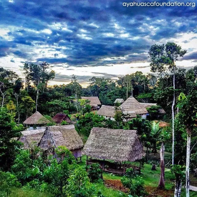 Ayahuasca Foundation