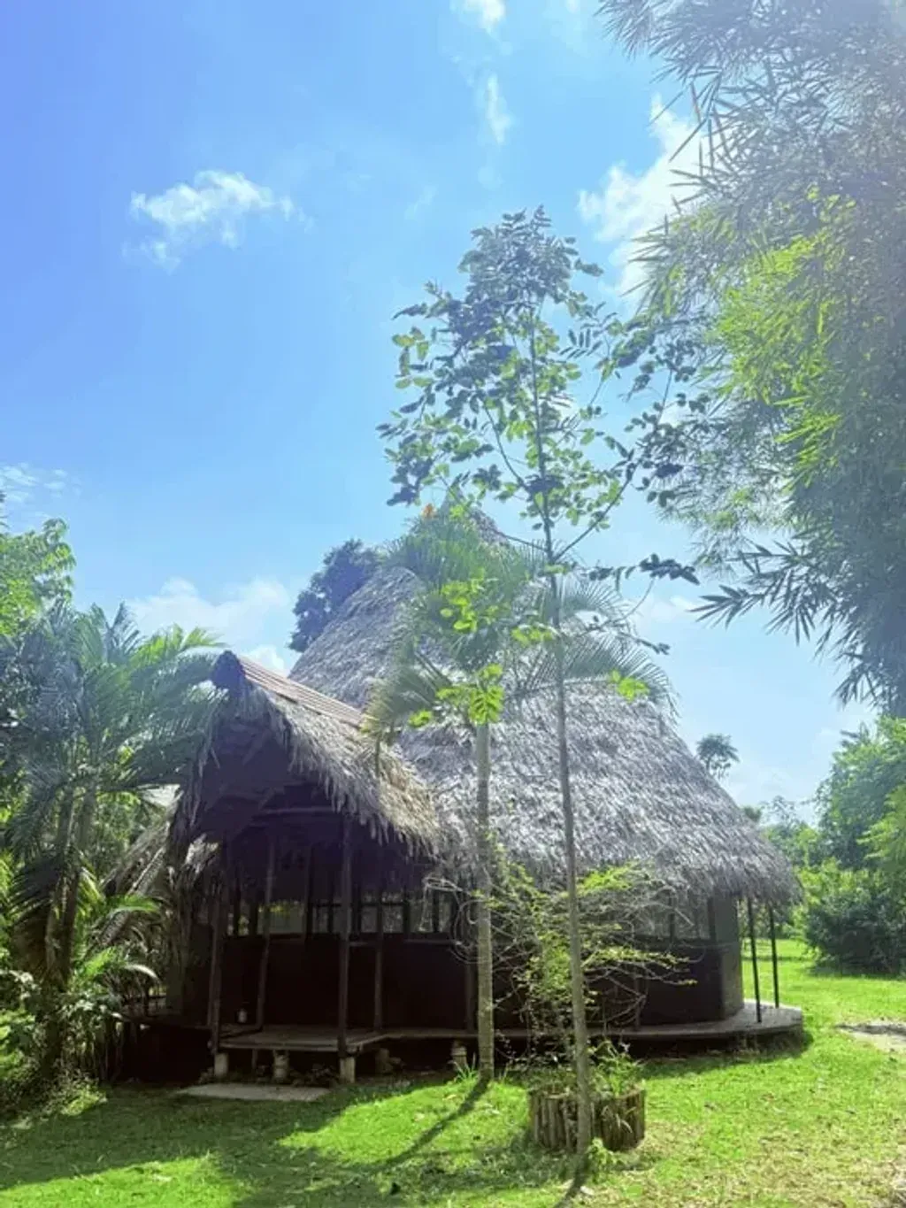 Ayahuasca Spirit Healing Center