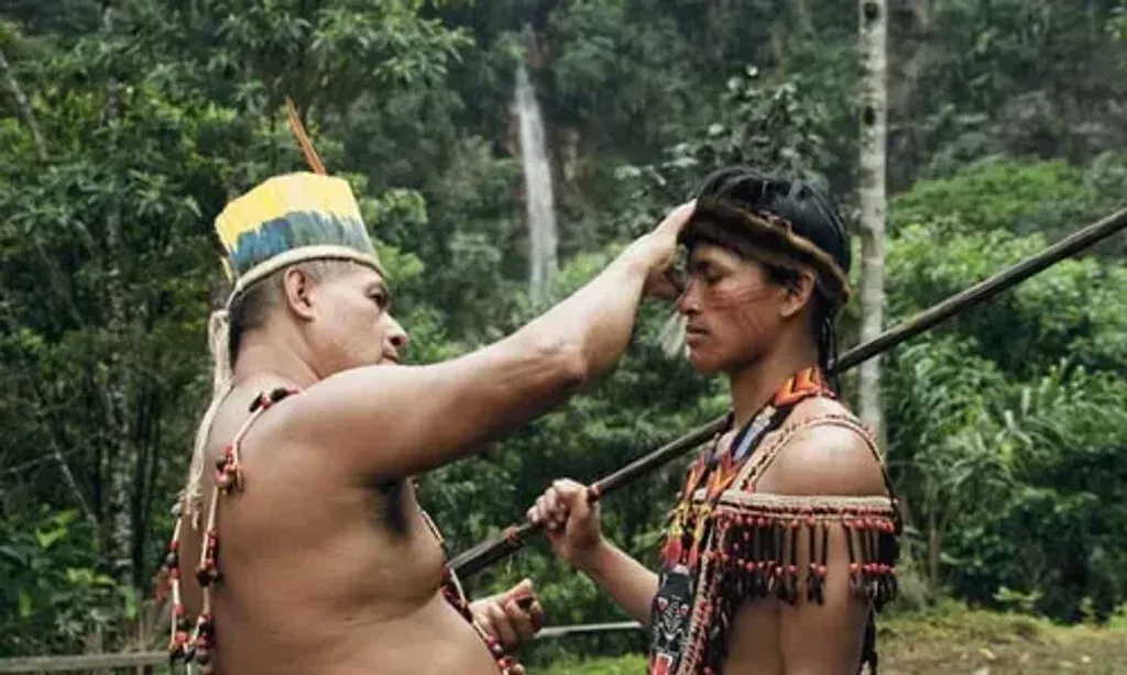 Ayamtai-Natem — set in the lush Ecuadorian jungle near Macas, Ayamtai-Natem provides a serene and natural environment for deep spiritual work. The center is part of the Yankuam community, offering an authentic immersion into the local culture and the vibrant ecosystem of the Amazon.