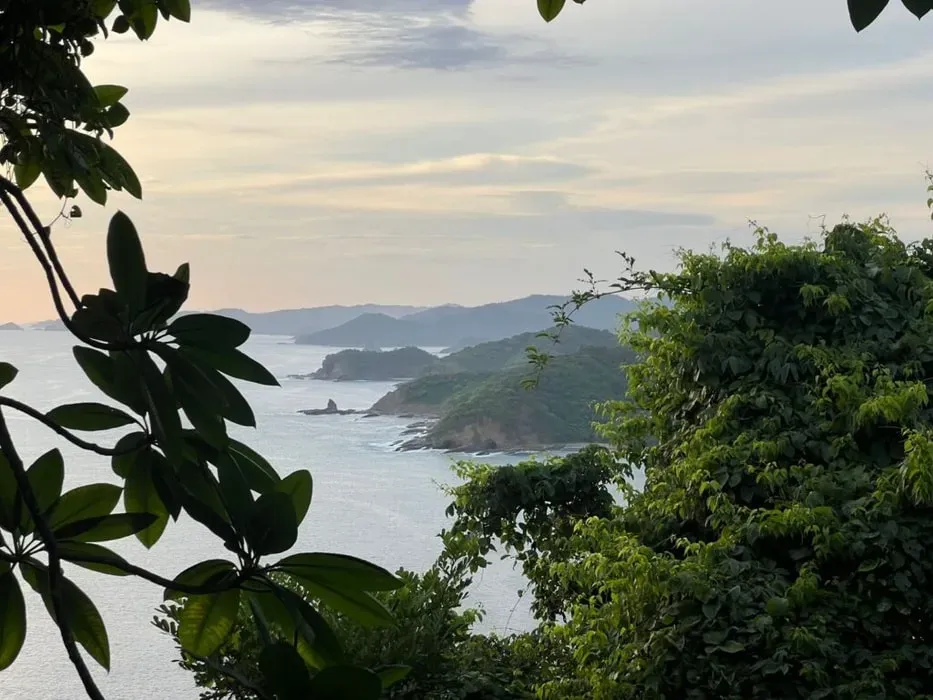 Ayani Retreats