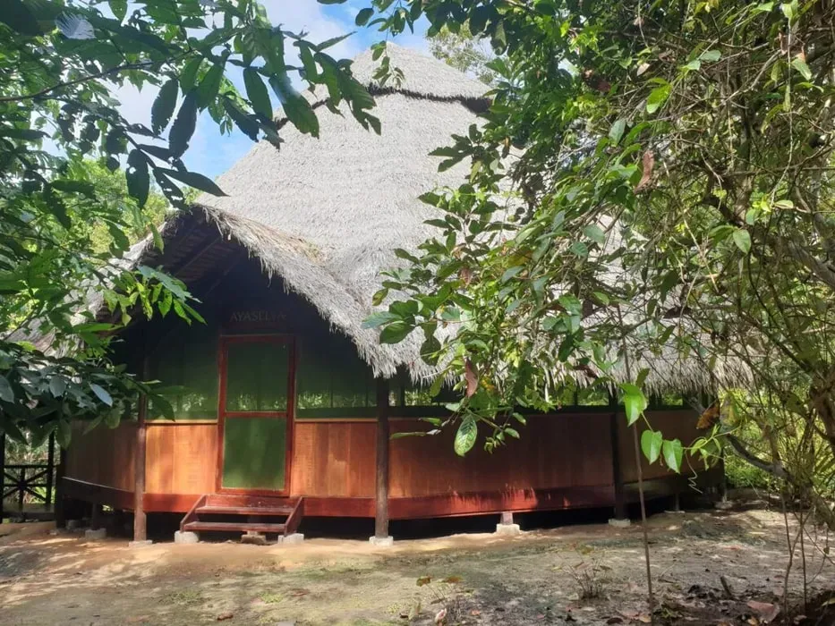 Ayaselva — The center is situated in Tamshiyacu, a region known for its lush natural environment. The address, Carretera Yavari Miri KM2, suggests a location that is likely surrounded by the Amazonian landscape, offering a serene and immersive atmosphere for retreat participants.