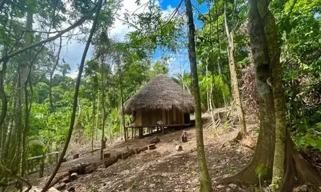 AyaShakti Retreats — The retreat is situated deep within the Amazon jungle, approximately three hours from Pucallpa. It's a truly immersive natural environment, with the unique feature of being located alongside the famous Amazon boiling river. The atmosphere is one of profound natural beauty and tranquility, designed to support deep introspection and healing.