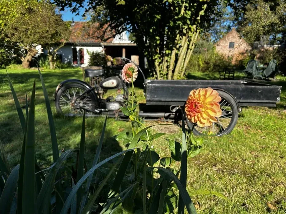 Ayurvedic Panchakarma Wellness Retreat — The retreat is situated in the peaceful Dutch countryside of Kockengen, offering a tranquil escape from urban life. Surrounded by nature, the atmosphere is designed for relaxation and deep healing, providing a serene backdrop for Ayurvedic practices.