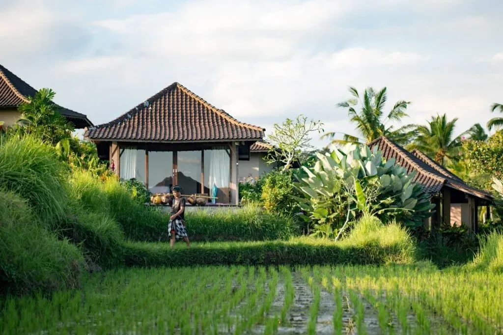Azadi Retreat — set in the vibrant heart of Ubud, Azadi Retreat is surrounded by the lush, tropical landscapes that Bali is famous for. The atmosphere is one of profound tranquility, with panoramic views of verdant gardens creating a peaceful backdrop for reflection and practice. It's a place where the natural beauty of the island harmonizes with a serene, intentional environment.