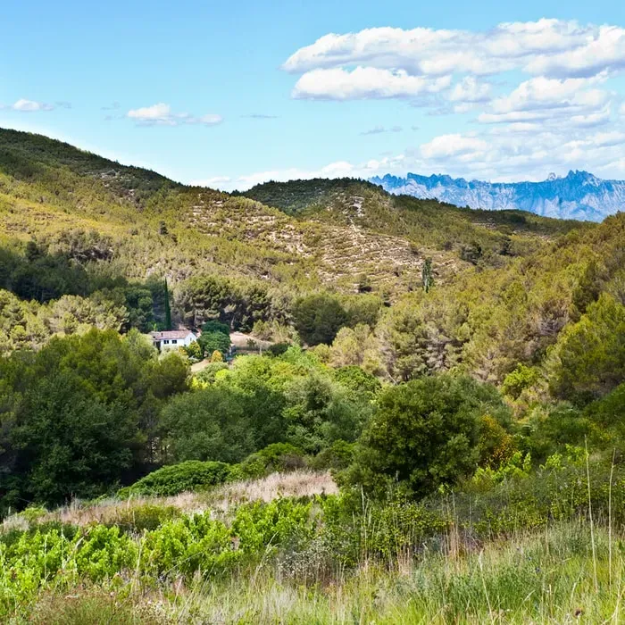 Berta & Gus retreats — The retreat is situated in the picturesque rural heart of Catalonia, enveloped by sprawling vineyards. It enjoys a serene backdrop, guarded by the iconic Montserrat mountain and protected by the Mont Pedrós rocks, creating an atmosphere of natural tranquility and ancient majesty.
