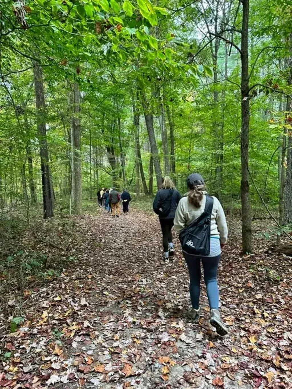 Bija Retreats — The retreats are hosted at the Inn and Spa at Cedar Falls, set within the scenic Hocking Hills region of Ohio. This location places you between the natural wonders of Cedar Falls and Old Man's Cave, offering a serene backdrop for reflection and outdoor exploration.