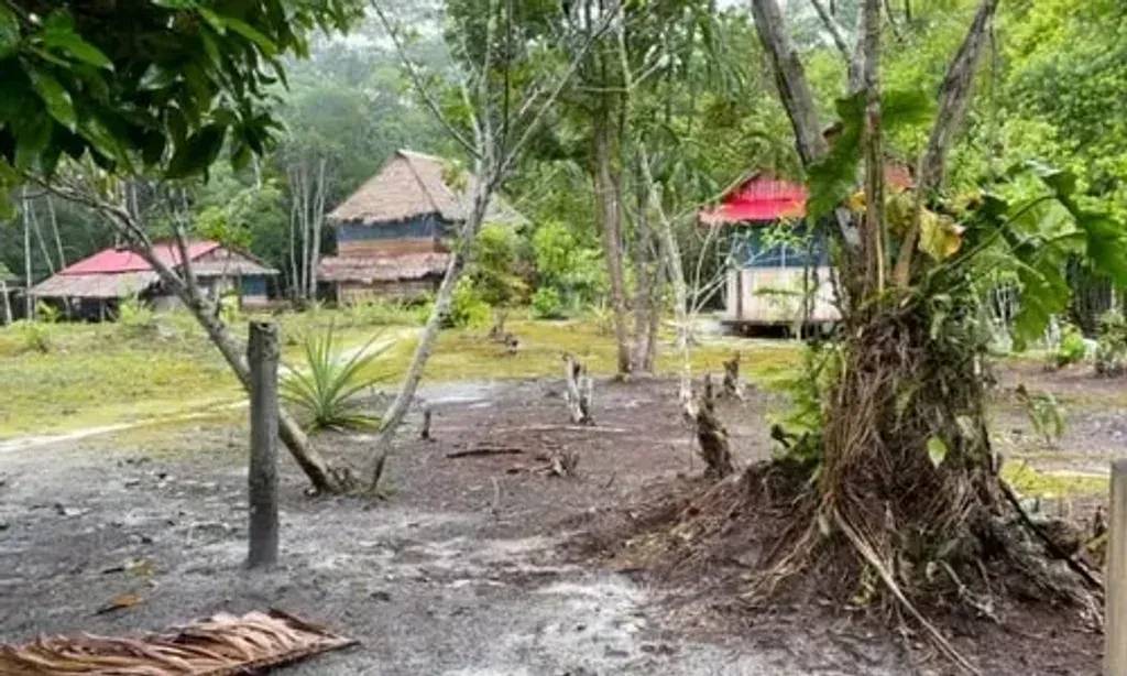 Bombinzana Center — The center is set 20 km outside Iquitos, enveloped by the vibrant, untamed beauty of the Amazon rainforest. A tranquil river meanders close by, offering a refreshing spot for swimming and connecting with nature. The atmosphere is one of deep immersion in the natural world, providing a peaceful backdrop for introspection and healing.