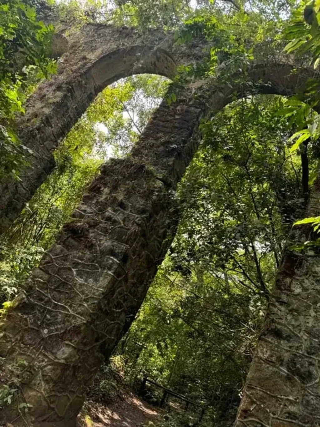 Brazil Jungle Trek: Ilha Grande