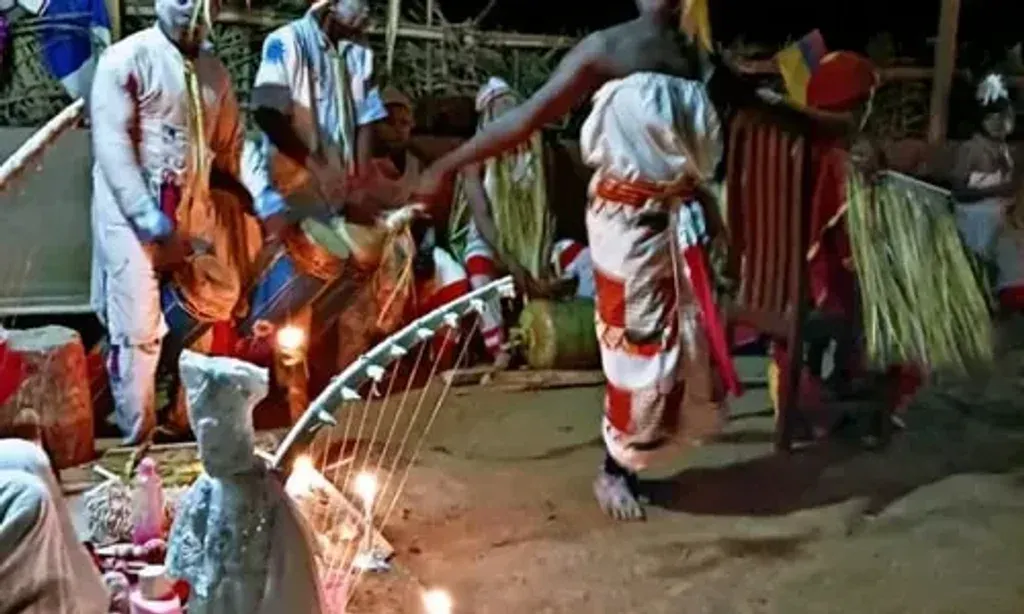 Bwiti Roots