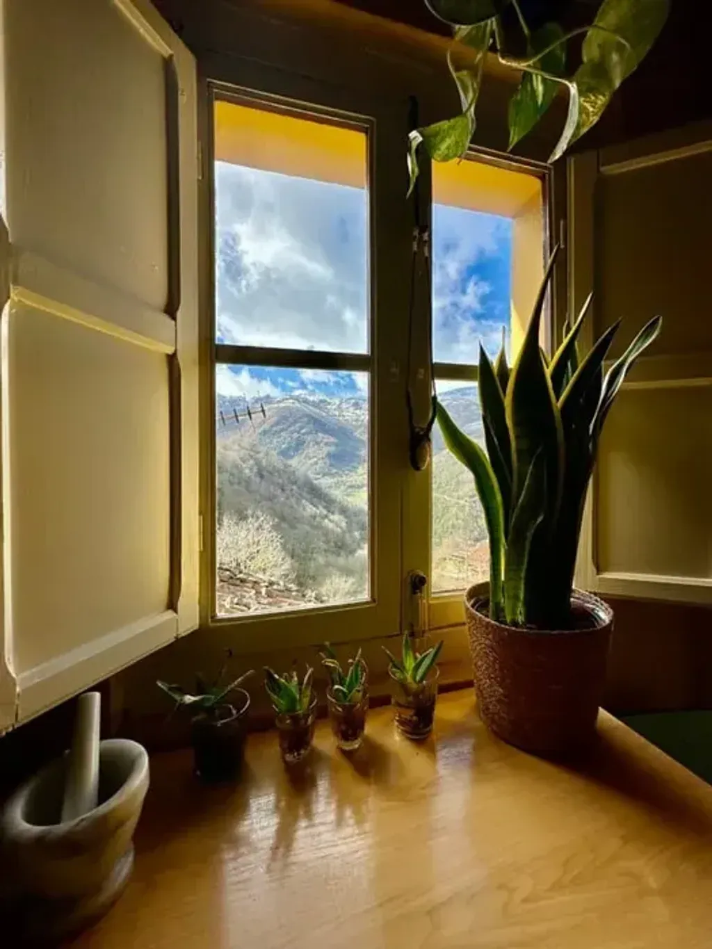 Casa Apapacho — Casa Apapacho is set amidst the breathtaking, untamed beauty of Teverga, Spain. The house is enveloped by a wild landscape of mountains, dense forests, medicinal plants, and flowing streams. This region, known as 'Green Spain,' is steeped in Celtic and Druidic heritage, offering an atmosphere where ancient myths and natural wonder intertwine, creating a profound sense of connection to the earth.