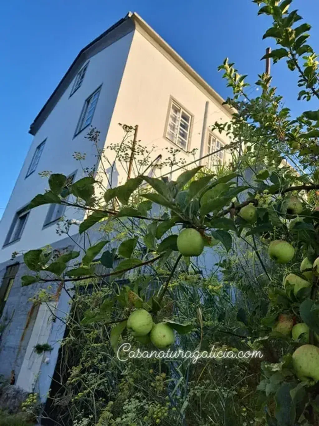 Casa Natura Galicia — set in the Galician countryside of San Sadurniño, Casa Natura Galicia is surrounded by lush greenery, operating as a food forest and herboristeria. The atmosphere is one of peaceful immersion in nature, with ample garden spaces for quiet contemplation and relaxation.