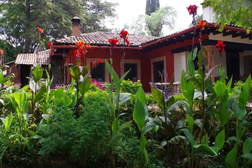 Casa Werma — Casa Werma is set in a beautiful, peaceful garden setting, just a short walk from the vibrant Spanish colonial city of Patzcuaro. The atmosphere is one of serene tranquility, enhanced by lush greenery, colorful flowers, and a charming fountain, yet with the lively energy of the town easily accessible.
