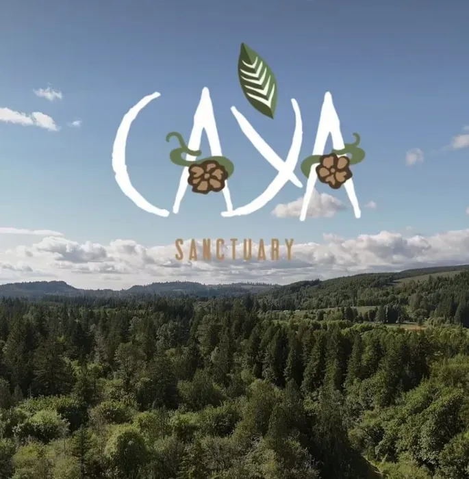 CAYA Sanctuary — set in Mossyrock, Washington, the sanctuary provides a serene natural backdrop for introspection and healing. While specific details about the immediate surroundings are not provided, the location suggests a peaceful, rural environment conducive to retreat work.