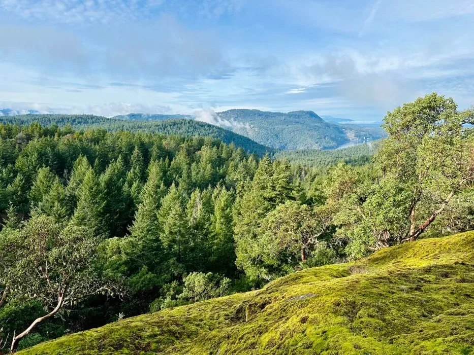 Cedar Song — Cedar Song is set within a vibrant natural landscape just 25 minutes from Victoria, British Columbia. The property boasts direct access to a lake, ocean, and mountains, creating a diverse environment for exploration and contemplation. Guests will find themselves surrounded by ancient forests of Cedars, Arbutus, Fir, and Maple, with mossy bluffs offering expansive ocean views. A seasonal creek and waterfall add to the serene atmosphere, making it a truly immersive natural sanctuary.
