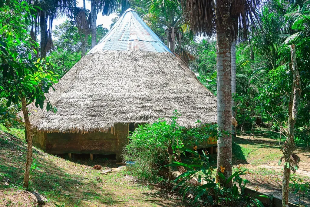 Centro Kapitari — Centro Kapitari is situated in the lush, vibrant heart of the Peruvian Amazon, near the city of Iquitos. The center's tambos are thoughtfully arranged around a picturesque lake, offering a serene and natural environment for reflection and ceremony. The air is alive with the sounds of the jungle, providing a deeply immersive experience.