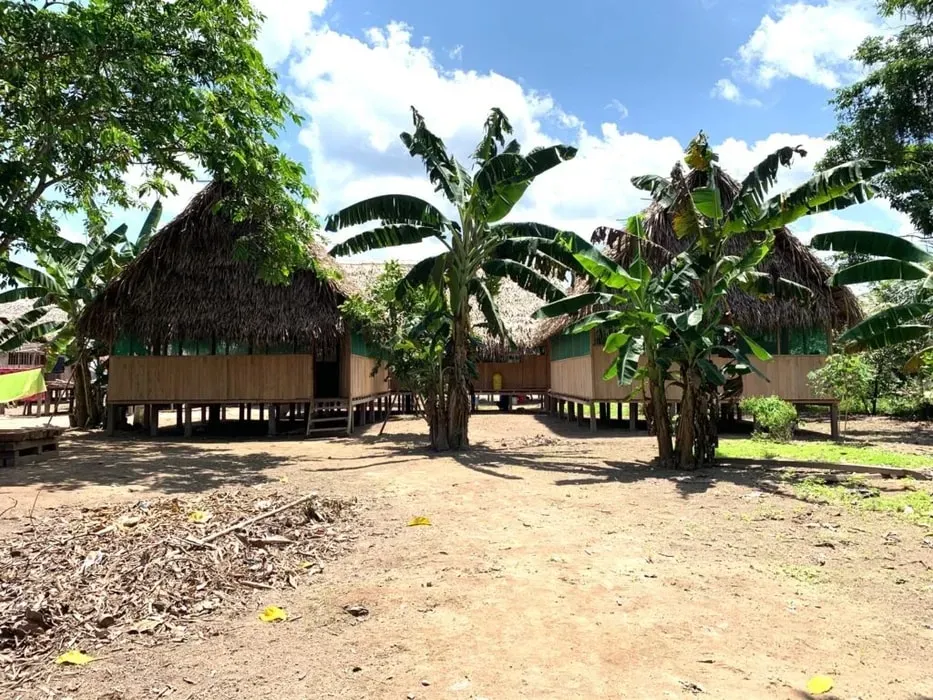 Centro Metsa Noma — set in the lush, vibrant landscape of Pahoyan, Peru, the center provides an immersive Amazonian experience. The natural surroundings contribute to a serene and introspective atmosphere, ideal for deep healing and connection with nature.