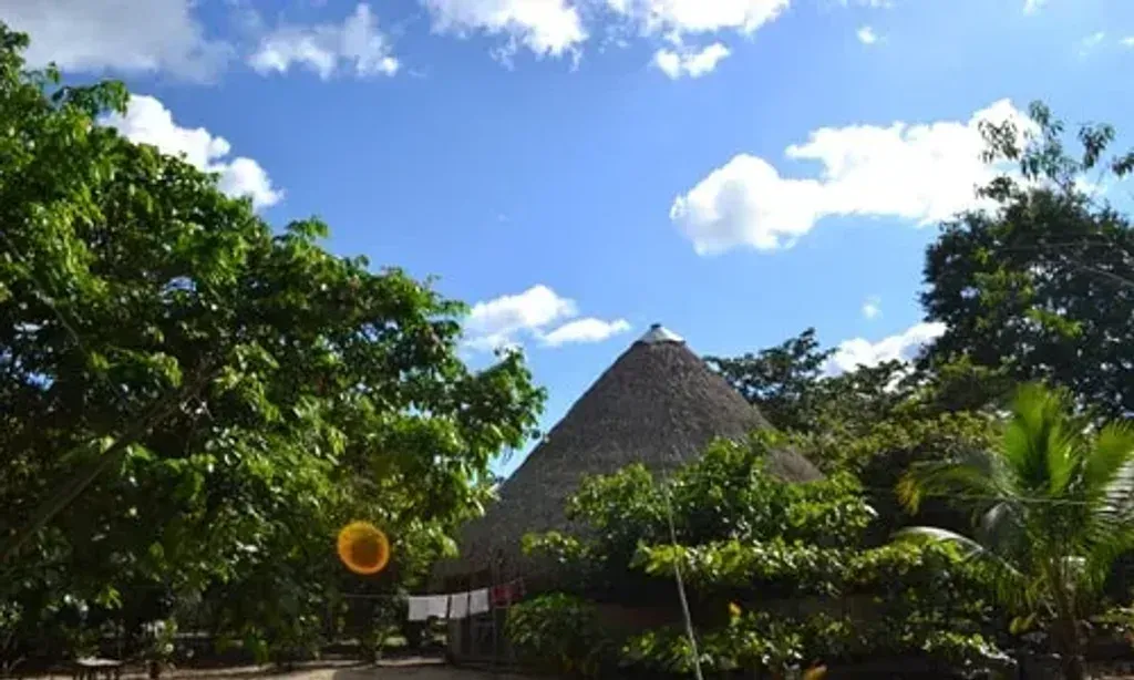 Centro Ojo de Luna — Situated on the tranquil banks of a beautiful Amazon lagoon, Centro Ojo de Luna is enveloped by the lush, vibrant jungle. This intimate environment provides a profound sense of isolation and connection with nature, offering a peaceful backdrop for deep introspection and healing.