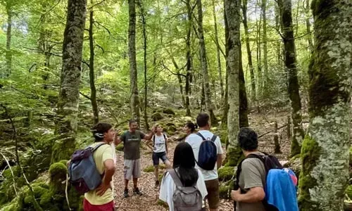 Centro Retiros Yoga Pirineo — retreat center