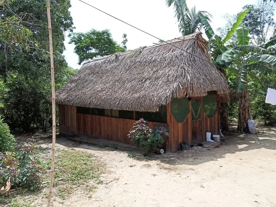 Centro Yacuruna plantas medicinales — Located north of Pucallpa, on the road to Ilsa de San Francisco and before the village of Santa Rosa, the center offers a jungle setting. Guests stay in individual 'casas' and gather in a communal kitchen house, with plans for further development including a new ceremony house.