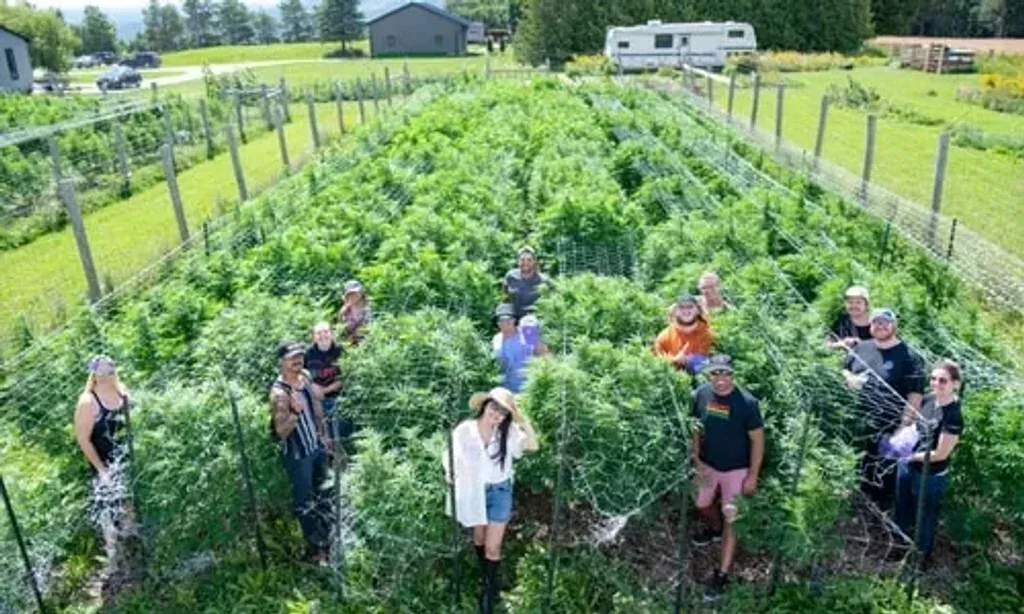 Chris Kornacki — Located in Stayner, Ontario, the center provides a rural setting for practical, on-farm learning. The environment is geared towards hands-on engagement with agricultural practices and ecological regeneration, offering a grounded experience away from urban distractions.