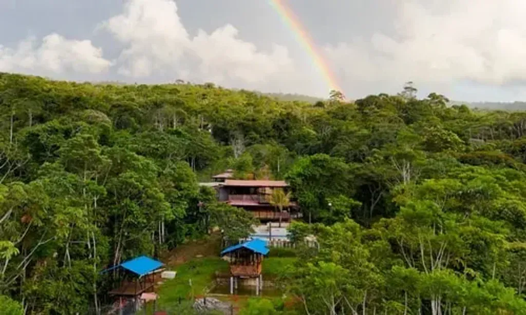 Cloud Forest Yagé — Located in the mountainous Zarsal community on the outskirts of Mocoa, Putumayo, Colombia, Cloud Forest Yagé is an 80-acre property. The area is characterized by a strong spirit of rural Colombian life, offering a vibrant backdrop for self-discovery. It's a hotspot for outdoor activities like hiking, mountain biking, swimming, and birdwatching, with direct access to stunning waterfalls.