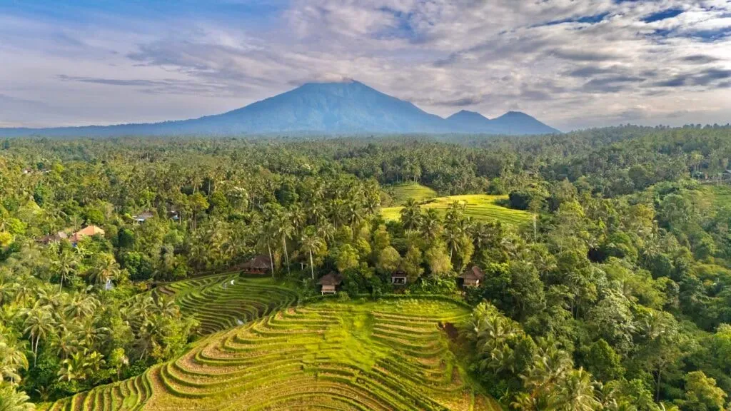 Clove Tree Hill - Spirit and Soul Retreat Bali — Perched on the forested slopes of Mount Batukaru, Clove Tree Hill is enveloped by the natural splendor of central Bali. The resort is surrounded by verdant rice terraces and vibrant tropical gardens, offering a peaceful and picturesque backdrop for reflection and relaxation. Traditional villages nearby provide a sense of local culture and an authentic Balinese experience.