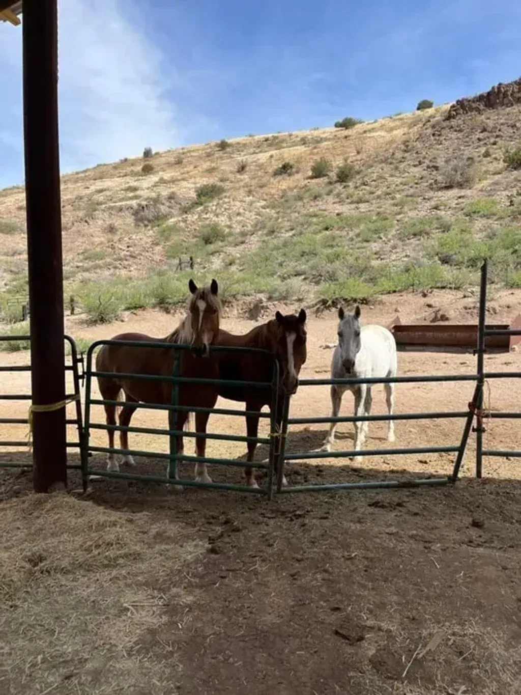 Cold Creek Ranch — The retreat is set on a working cattle ranch in the expansive Arizona landscape. The environment offers a 'simple' lifestyle, surrounded by natural beauty that encourages a sense of peace and connection to the land. The venue itself is crafted from natural wood and rocks, blending seamlessly with its surroundings.