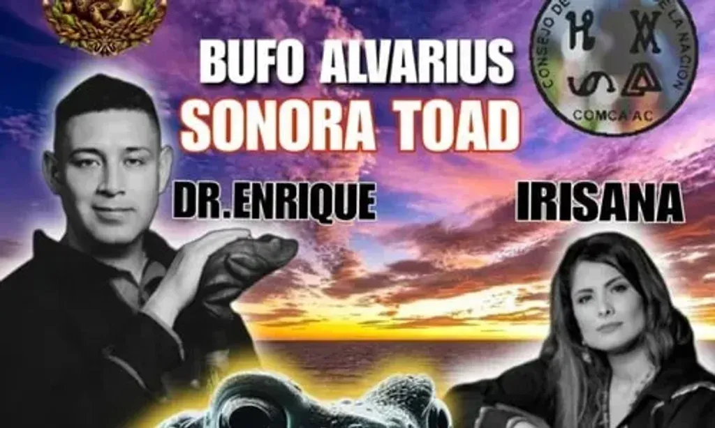 conciencia ancestral — Located in Emiliano Zapata, within the colonia Guadalupe Hidalgo in Puebla, Mexico.