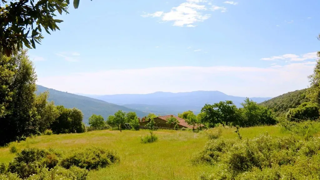 Connecta Life — Connecta Life retreats unfold in hand-picked rural houses set within the Catalan mountains, about an hour's drive from Barcelona. The venues are enveloped by lush forests, expansive landscapes, and profound natural silence, fostering an atmosphere conducive to introspection and deep inner work. Each location is chosen for its calm ambiance, privacy, and strong connection to nature, providing a stable and secure container for ceremonial practices.
