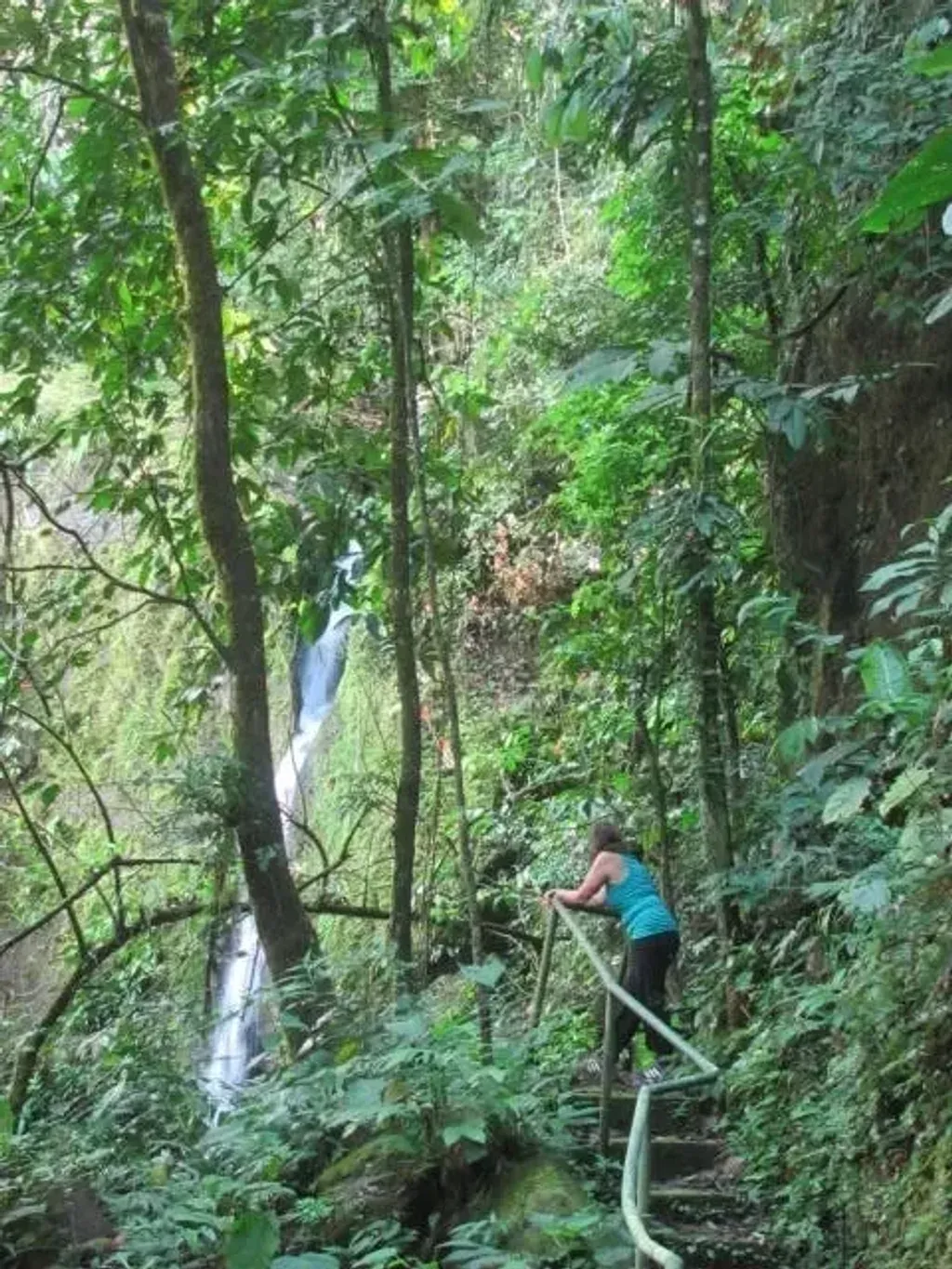 Costa Rica Jungle Retreats — The retreat is set on eight acres of vibrant jungle, two miles off the main paved road. Expect to be surrounded by dense foliage, the sounds of tropical wildlife, and the refreshing presence of rivers and waterfalls. The atmosphere is one of profound tranquility and natural beauty, ideal for deep relaxation and connection with nature.