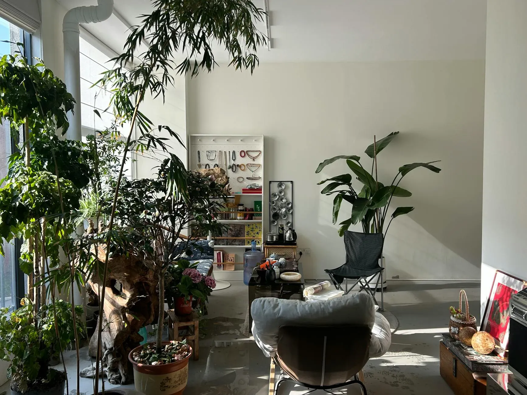 Creative Juices — Creative Juices is situated in the heart of Washington, D.C., offering an urban retreat experience. The specific venue details suggest a focus on community and connection, possibly within a shared or event-based space rather than a secluded natural environment.