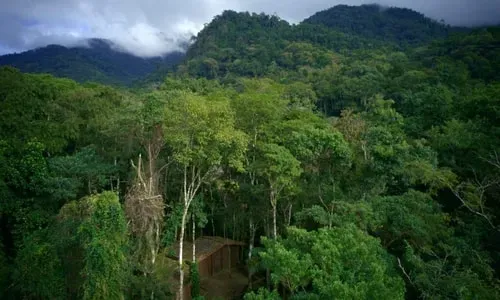 Curandera Retreats