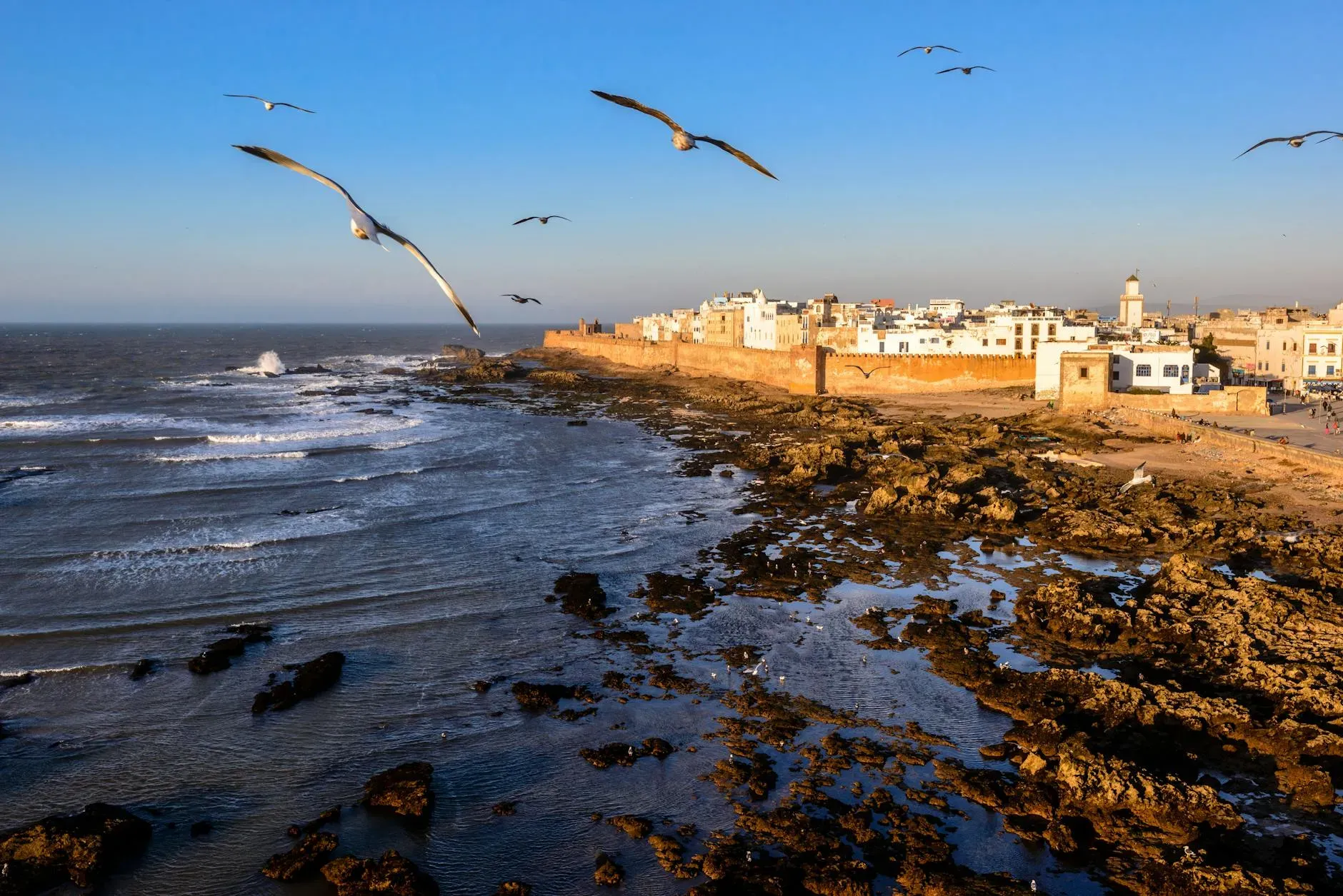 Dar Albatros Retreat Centre — set in Teghalimine, near Essaouira, Dar Albatros Retreat Centre offers a serene environment away from the city's hustle. The coastal setting of Essaouira, known for its relaxed atmosphere and ocean breezes, provides a naturally calming backdrop for retreat activities. Guests can expect a peaceful ambiance conducive to introspection and relaxation.