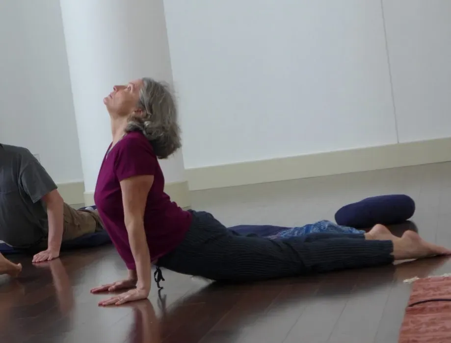Dharmakaya Center for Wellbeing — The center is situated atop a wooded hillside in the quiet hamlet of Cragsmoor, New York. Surrounded by 90 acres of forest, the atmosphere is one of profound peace and natural beauty, providing an ideal environment for quiet contemplation and retreat.