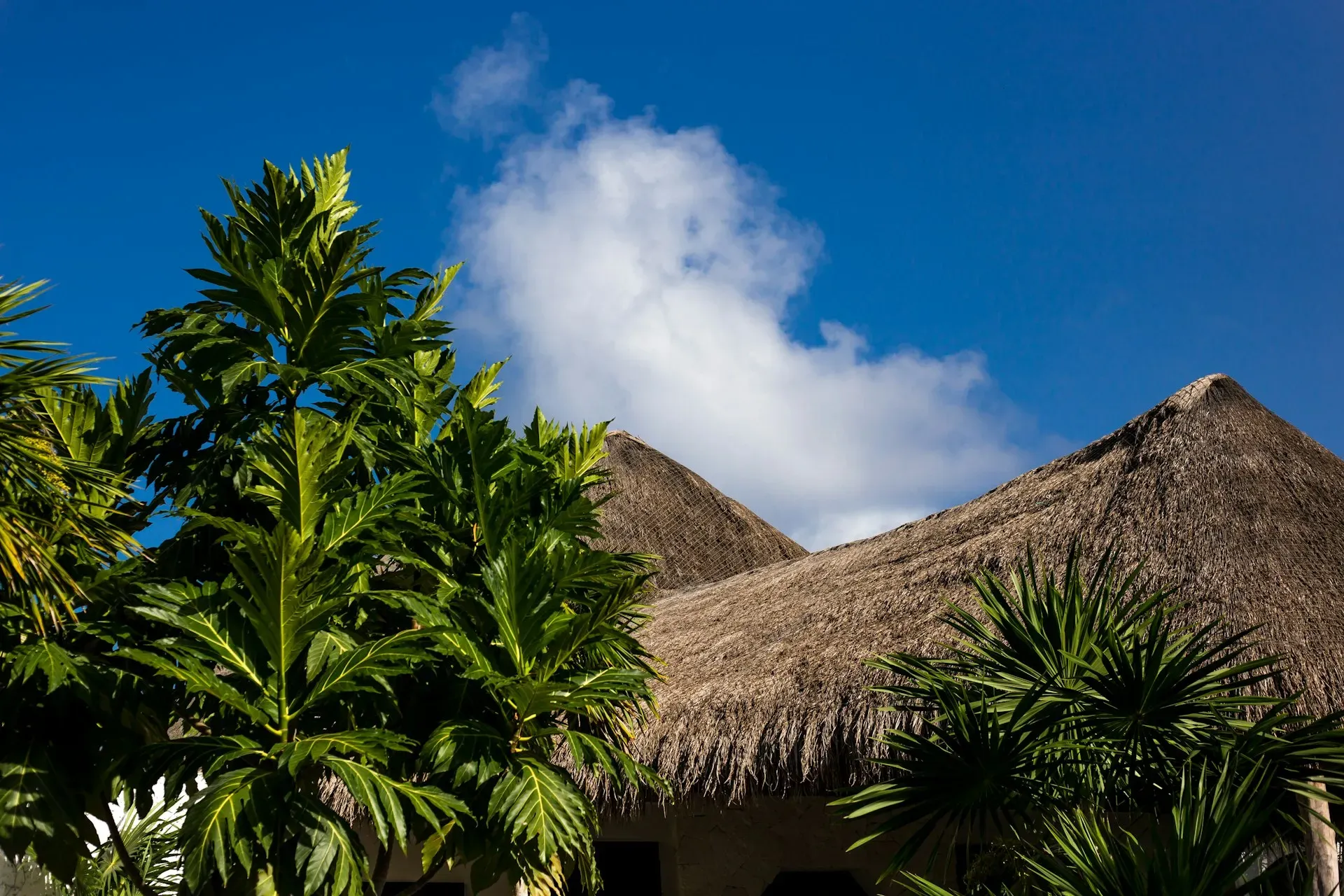 Dos Ceibas Eco Retreat — retreat center