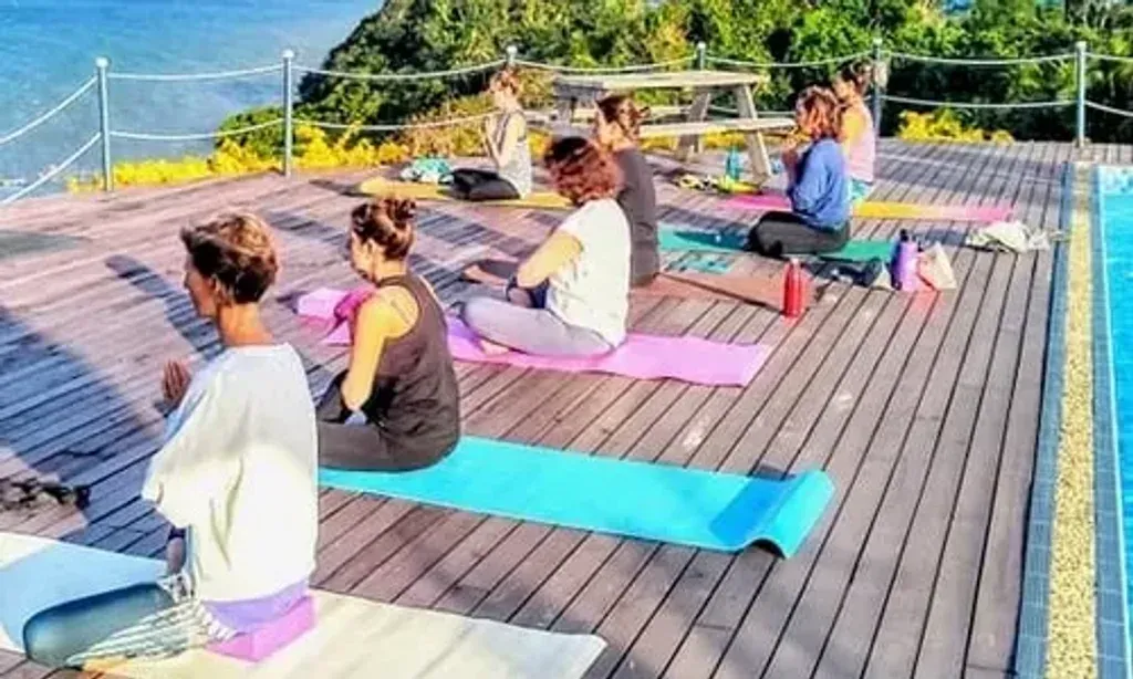 Drevula Heights Yoga and Surf Retreats