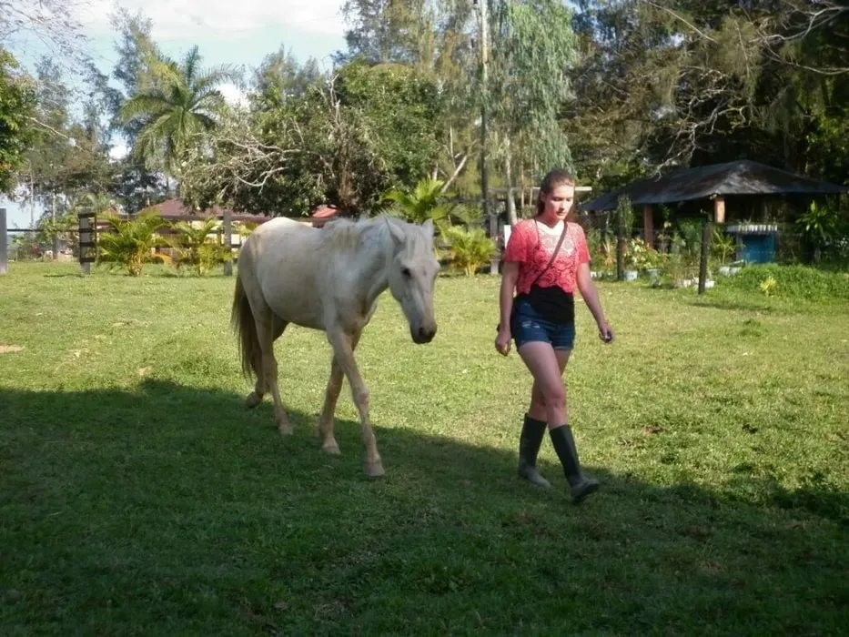 Eden Ranch — Serafina Organic Farm, spanning 80 acres, provides a unique refuge on the stunning North Coast of the Dominican Republic. It's framed by the natural beauty of El Choco National Park and benefits from refreshing sea breezes. The property also features a river with enchanting walks through shallow waters, leading to waterfalls and deep pools.