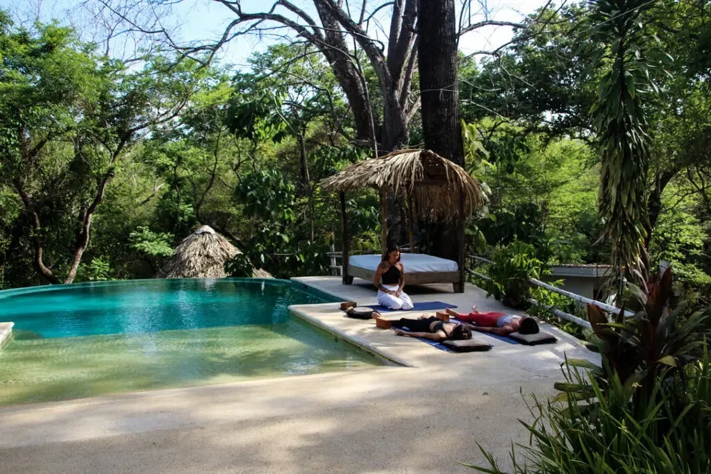 Elemental Body- elemental wisdom & embodied anatomy — Naya Nosara is situated within a Blue Zone, known for its inhabitants' longevity, and is enveloped by the lush jungle of Playa Pelada. This natural sanctuary offers direct beach access via a jungle path, providing a serene refuge amidst the dynamic surfing and wellness community of Nosara.