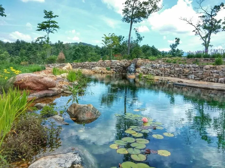 Elohee — Elohee is situated on 200 acres of wooded land in the scenic Blue Ridge Mountains of North Georgia. The natural environment is central to the center's ethos, providing a peaceful and restorative backdrop for all activities and programs.