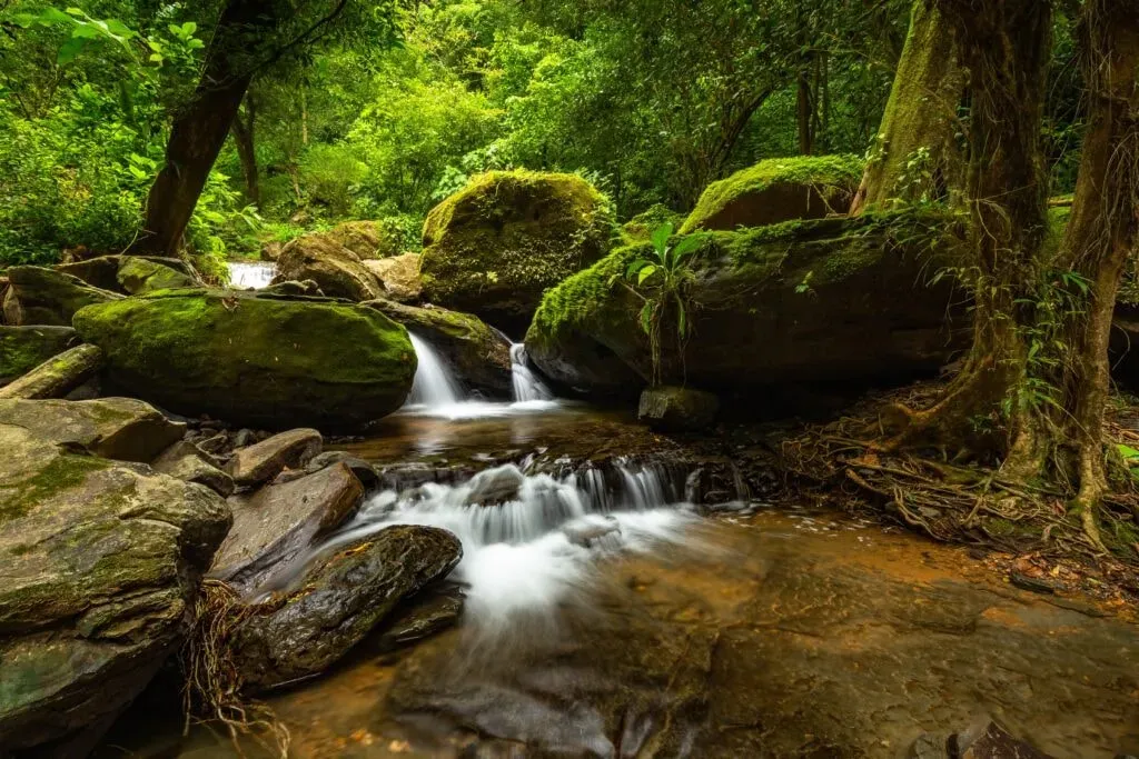 Embodied Evolution — Cascada Elysiana, the venue for Embodied Evolution, is an Eco-Lodge & Retreat Center set in the natural beauty near Dominical, Costa Rica. The environment is wonderfully introspective, remote, and features a private waterfall, surrounded by lush tropical landscapes.