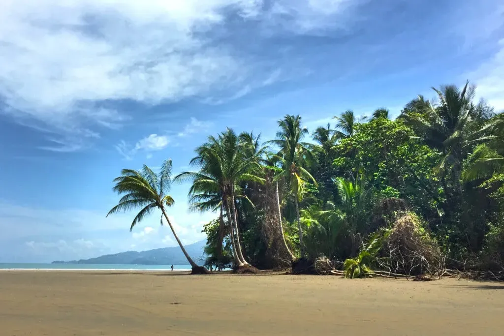 Emily Blackwell Yoga — Dominical, Costa Rica, offers a vibrant tropical backdrop for this retreat. The Danyasa Eco Retreat is situated just a short walk from the beach, allowing for easy access to the ocean's calming presence. Surrounded by lush natural beauty, the atmosphere is one of relaxation and connection with the environment.