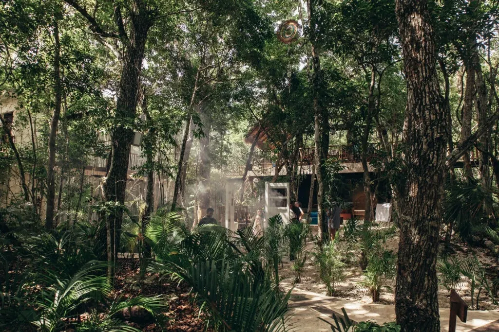 Energetic Imprint Retreat — set within the lush Mayan Yucatan jungle, the retreat offers a secluded and private environment. The villas and communal spaces are designed with inspiration from local Mayan culture, blending seamlessly with the natural surroundings. Expect ultimate privacy, free from outside noise and light pollution, allowing for deep immersion in the tranquil atmosphere.