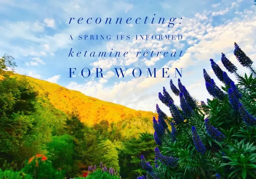 Evolve Integration Retreats — set in the artistic and spiritually resonant town of Woodstock, NY, the center benefits from a tranquil environment. The surrounding landscape of the Catskill Mountains provides a natural backdrop for introspection and healing, fostering a sense of calm and connection.