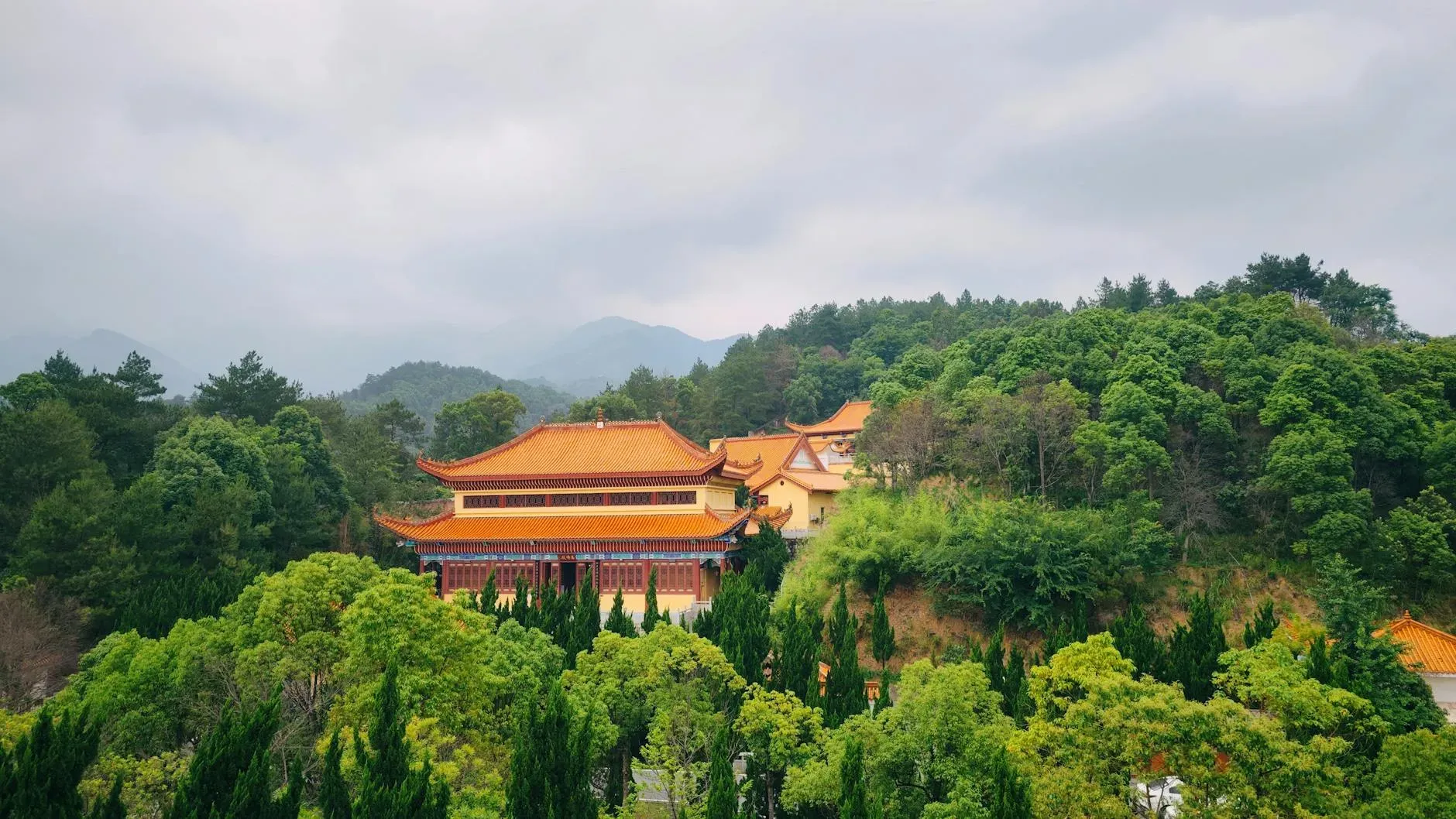 FangYuan TaiChi Centre — set in XinLing Village, JieYang, the center boasts a serene and tranquil environment, designed to enhance the practice of TaiChi and QiGong. Spacious outdoor training areas, surrounded by nature, provide a peaceful setting for connecting deeply with the earth and its calming atmosphere.