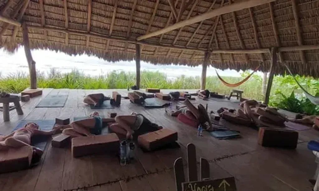 Feathers and Fur Surf + Yoga Experiences