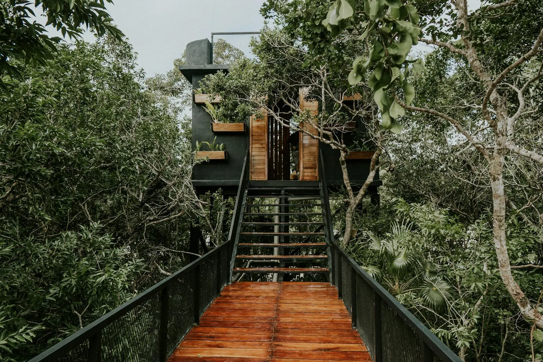 Femi Aura Retreats (FAR) — Located within the stunning Reserva de la Biosfera de Sian Kaan in Tulum, the retreat offers a natural and serene environment. While specific details about the immediate surroundings are limited, the biosphere location suggests a lush, biodiverse landscape, providing a tranquil backdrop for personal reflection and connection.