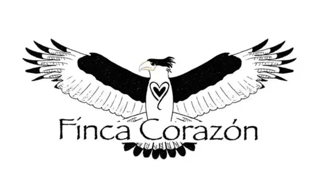 Finca Corazon — set in the mountains of Pérez Zeledón, Finca Corazon is bordered by a pristine river featuring natural pools and waterfalls. The land, once cattle pasture, has been reforested and now offers a peaceful sanctuary where local wildlife is returning, providing a serene backdrop for reconnection and healing.