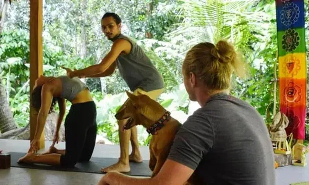 Firefly retreat bali — Located in Bali, the retreat offers a serene escape amidst the island's lush landscapes. While specific details about the immediate surroundings aren't provided, the general atmosphere is described as relaxed and welcoming, suggesting a comfortable and unpretentious environment for guests to unwind and connect.